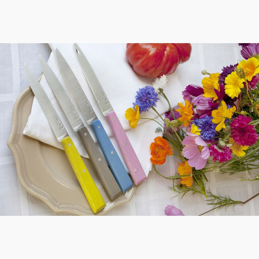 Bon Appetit No.125 Table Knife – Sky Blue